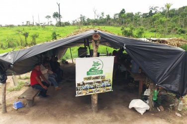 Families are camped in disputed areas - Photo: Thaís Borges