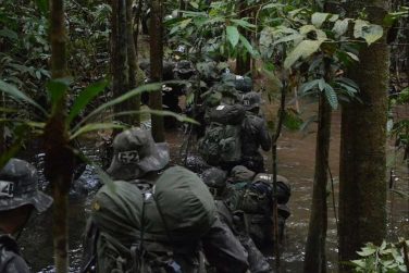 Meet Brazil’s Jungle Warriors, Ready to Survive and Fight Under the ...