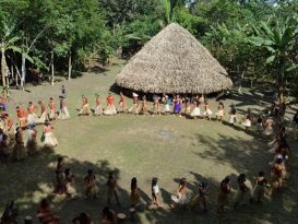 Shawãdawa Indians dancing the mariri