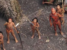 Aerial picture of uncontacted Amazonian tribe - FUNAI