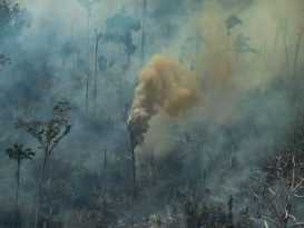 Fires burning in the Amazon forest at the end of August 2019, in Porto Velho, Rondônia - Victor Moriyama / Greenpeace