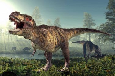 Tyrannosaurus rex spanned all of ancient North America, and about 20,000 lived at once. 1Ado123/Wikimedia Commons, CC BY-SA