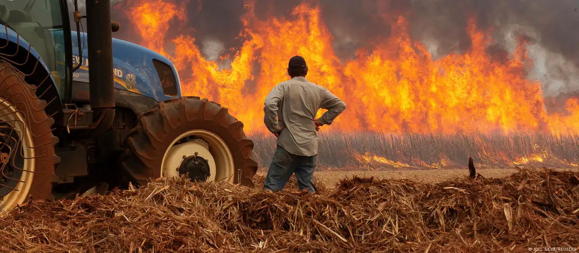 A man watches a fire in a sugar cane plantation near Dumon city, Brazil