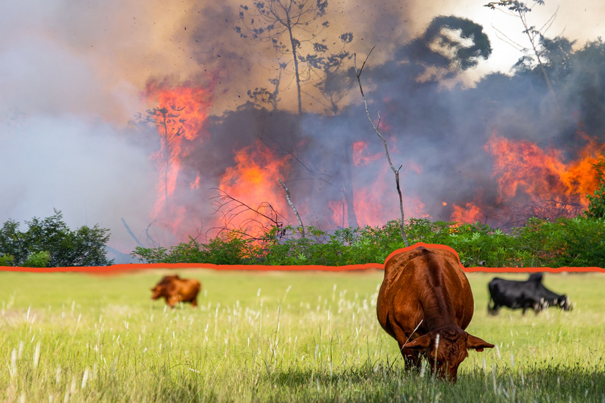 When the Amazon burns it has an impact far beyond its own boundaries